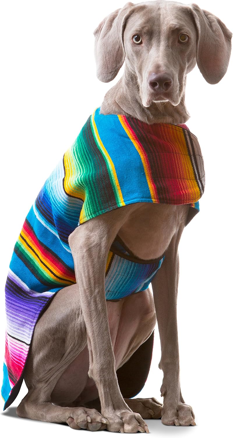 Handmade Dog Poncho from Authentic Mexican Blanket - Unique Style