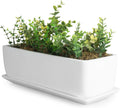 14 Inch Ceramic Rectangular Succulent Planter - Simple White