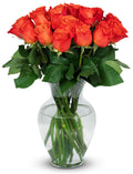 Benchmark Bouquets 24 Stem Premium Orange Roses - Long-Lasting Gift