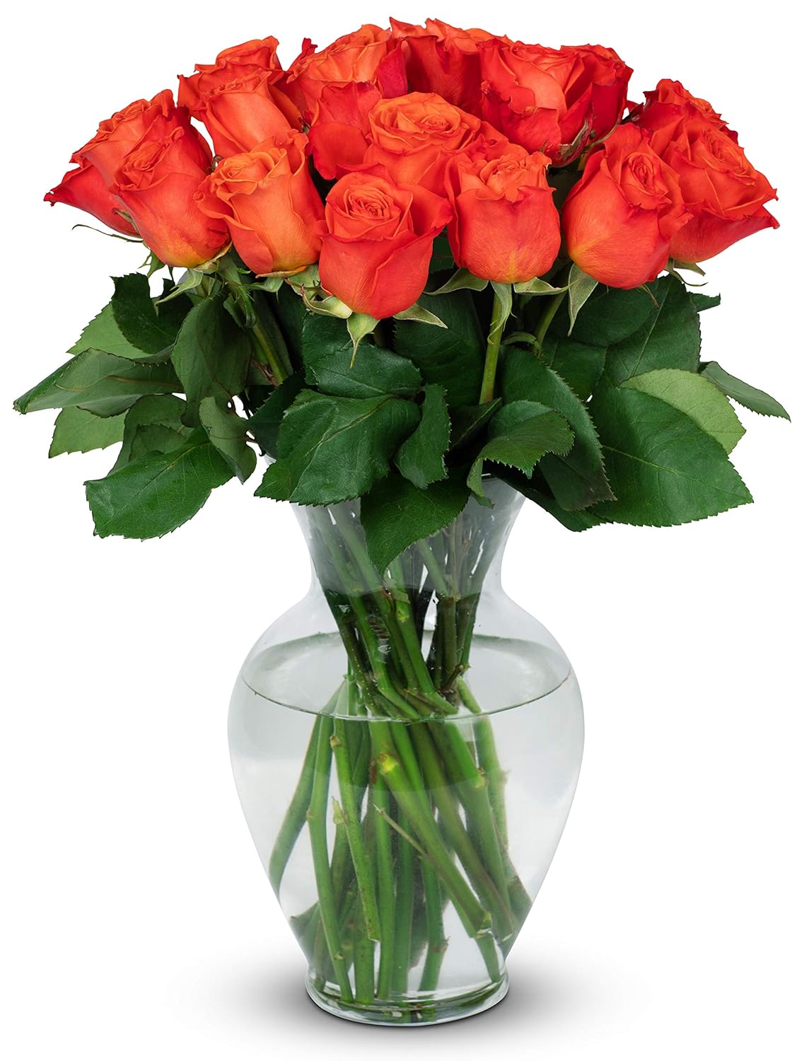 24 Stem Premium Orange Roses for Every Occasion - Fresh Flowers