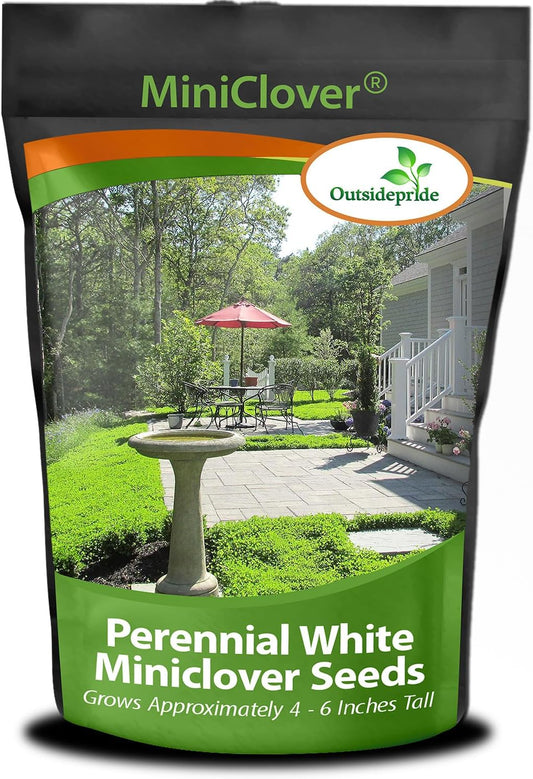 Perennial White MiniClover Seed for Low-Maintenance Lawn Care