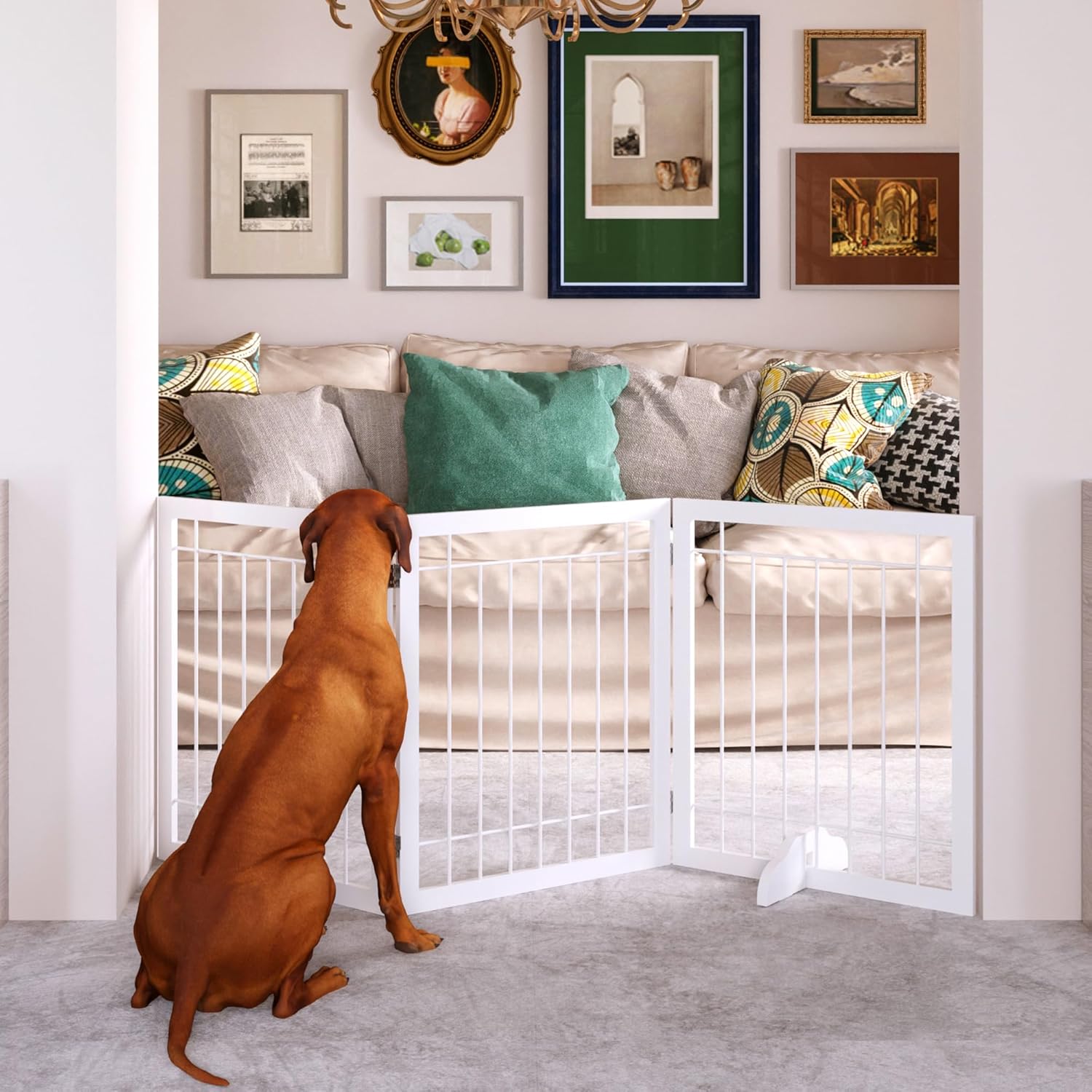 JSB 72-inch Extra Wide Dog Gate for Home Safety and Style