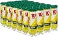 WILSON Championship Tennis Balls - Durable Practice and Match Play