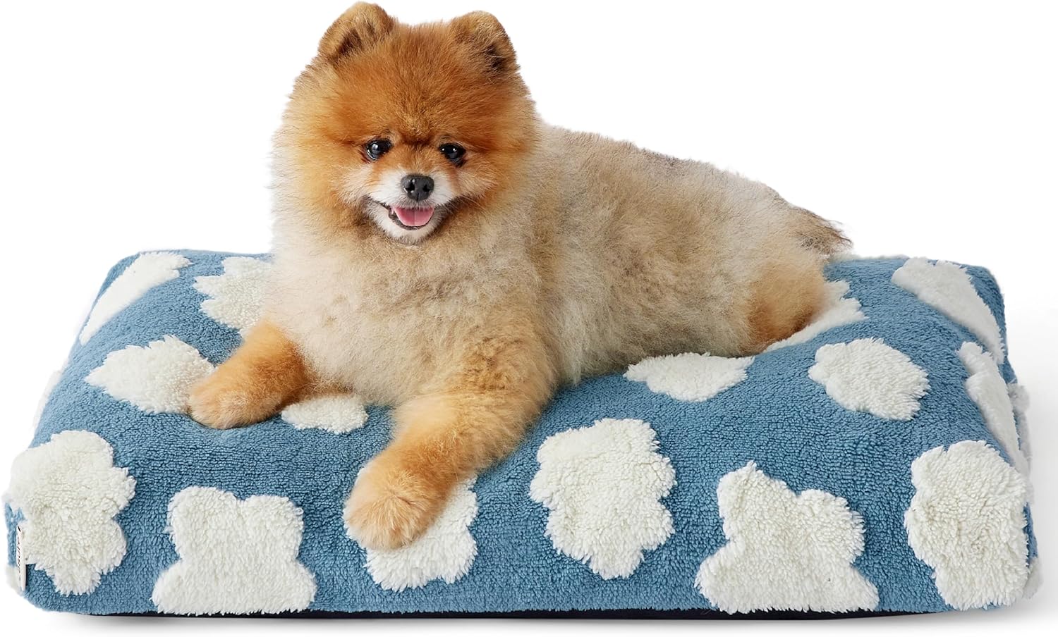 Cute Small Dog Bed with Thick Foam for Ultimate Comfort