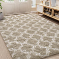 LOCHAS Luxury Shag Area Rug 5x7 ft Geometric Plush Fluffy Rug - Extra
