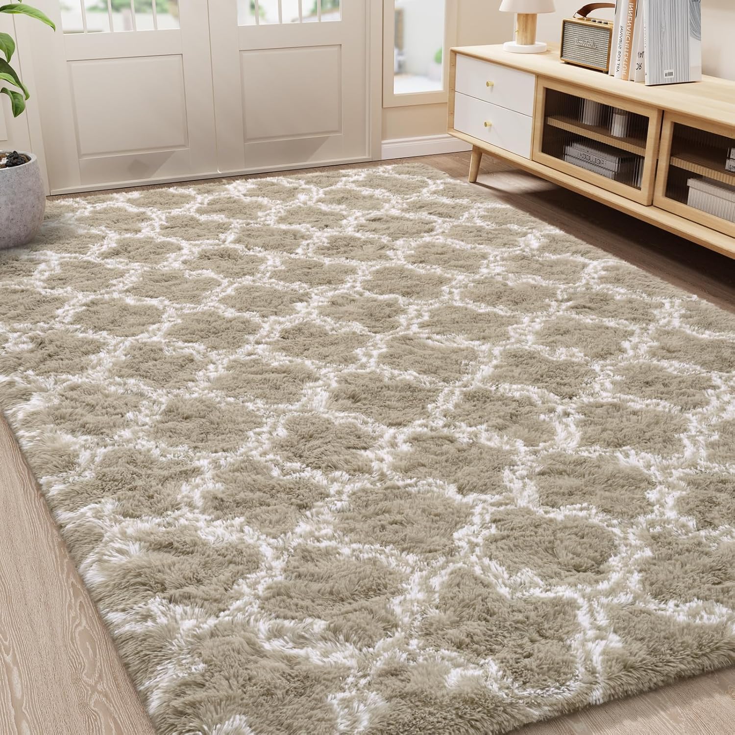 LOCHAS Luxury Shag Area Rug 5x7 Feet for Living Room Decor