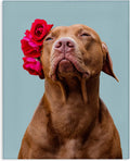 Custom Canvas Photo Print 1.5in Frame - Personalized Wall Art