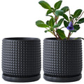 D'vine Dev Set of 2 Ceramic Plant Pots, 6 in Beaded Stoneware