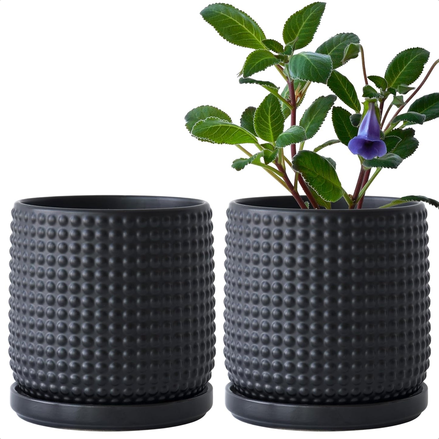 D'vine Dev Set of 2 Ceramic Plant Pots with Drainage Holes