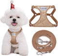 Small Dog No Pull Harness by Puppytie for Stress-Free Walking