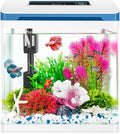 Small Fish Tank 2 Gallon Glass Aquarium Starter Kits for Betta
