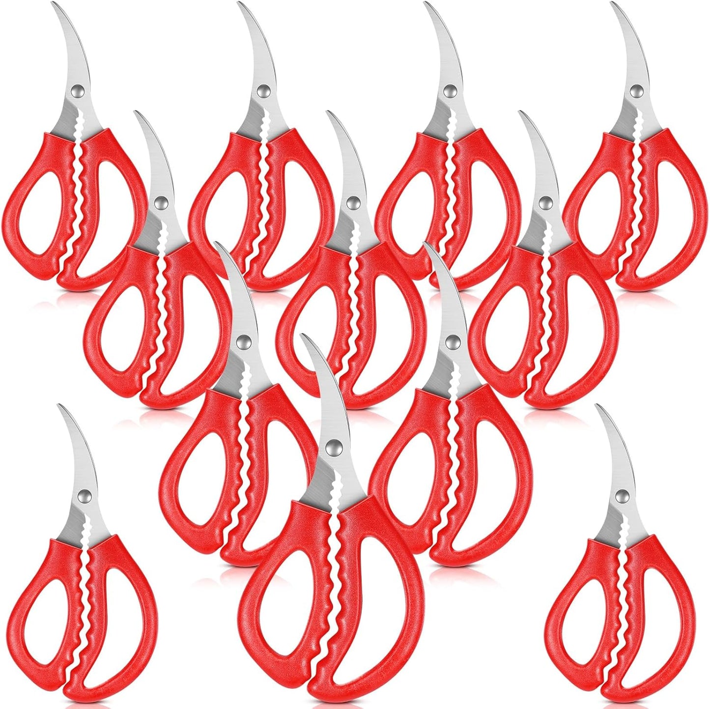 30 Pcs Kitchen Seafood Scissors for Crab and Lobster Tools