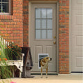 Plastic Pet Door with Telescoping Frame Medium - Fast Install, Good
