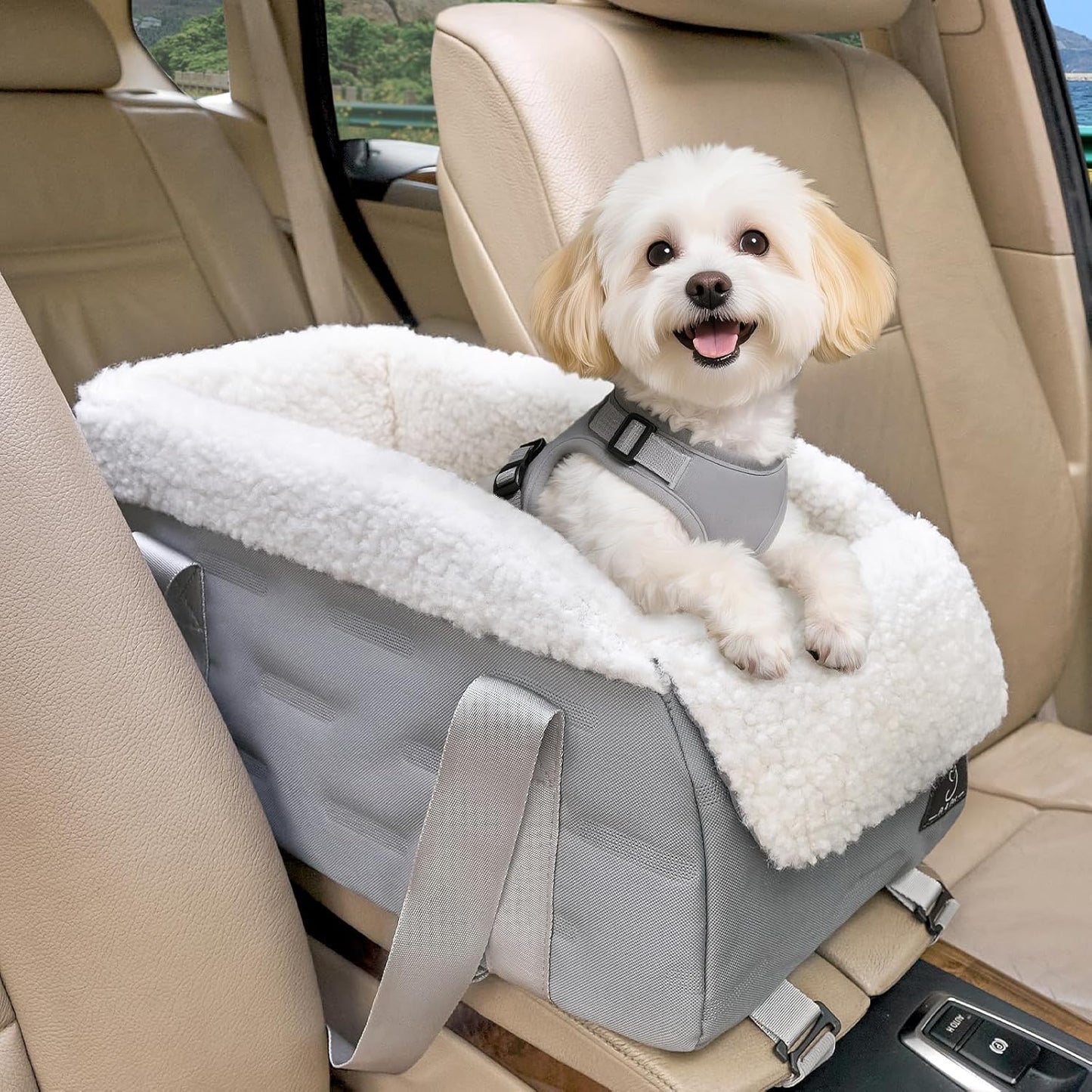 Center Console Dog Car Seat for Small Dogs with Safety Tethers