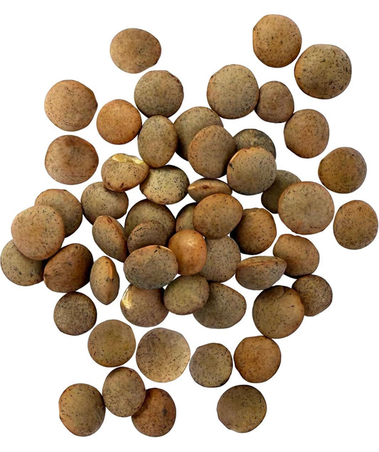 Certified Glyphosate Residue Free Small Brown Dry Lentils 18 LBS