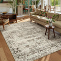 Lahome Washable 5x7 Area Rug for Living Room and Bedroom