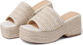 Platform Espadrille Wedge Sandals for Women - Open Toe Flatform