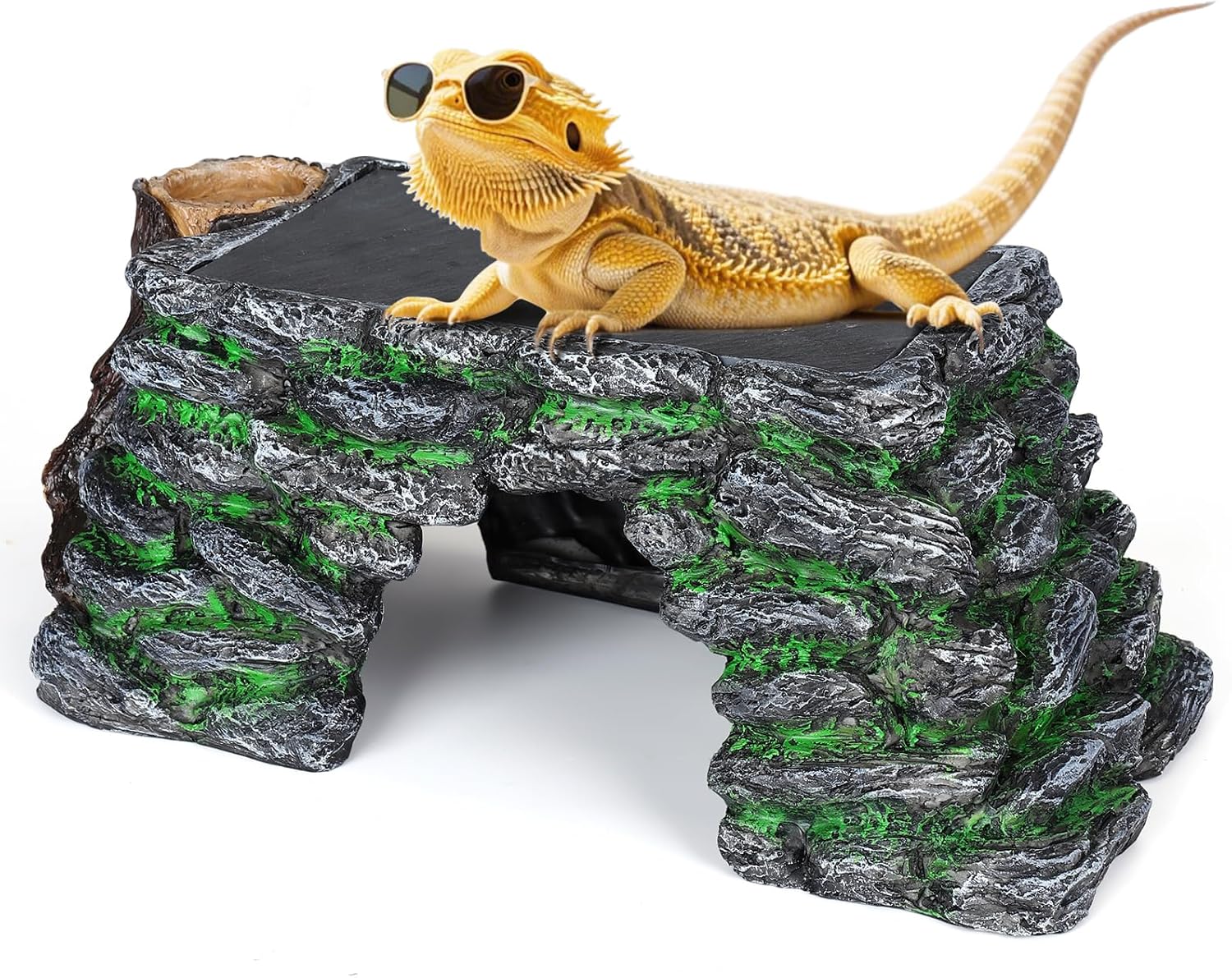 3 in 1 Large Bearded Dragon Basking Platform for Reptiles
