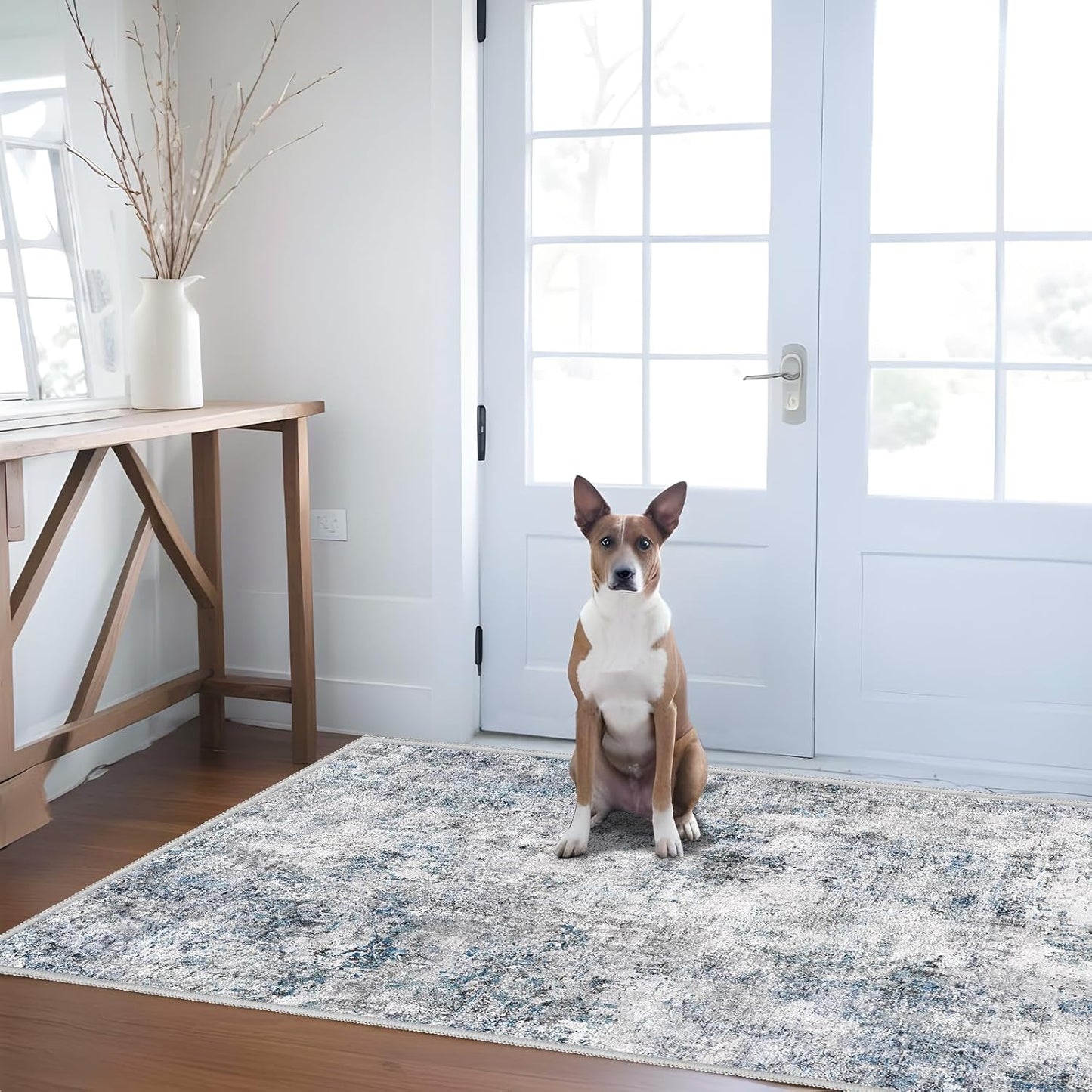 Abstract 3x5 Washable Rug - Modern Non Slip Area Rug Soft Carpet
