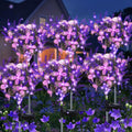 Kohlrabi Solar Garden Lights Outdoor 6 Pack - Purple Lavender Glow