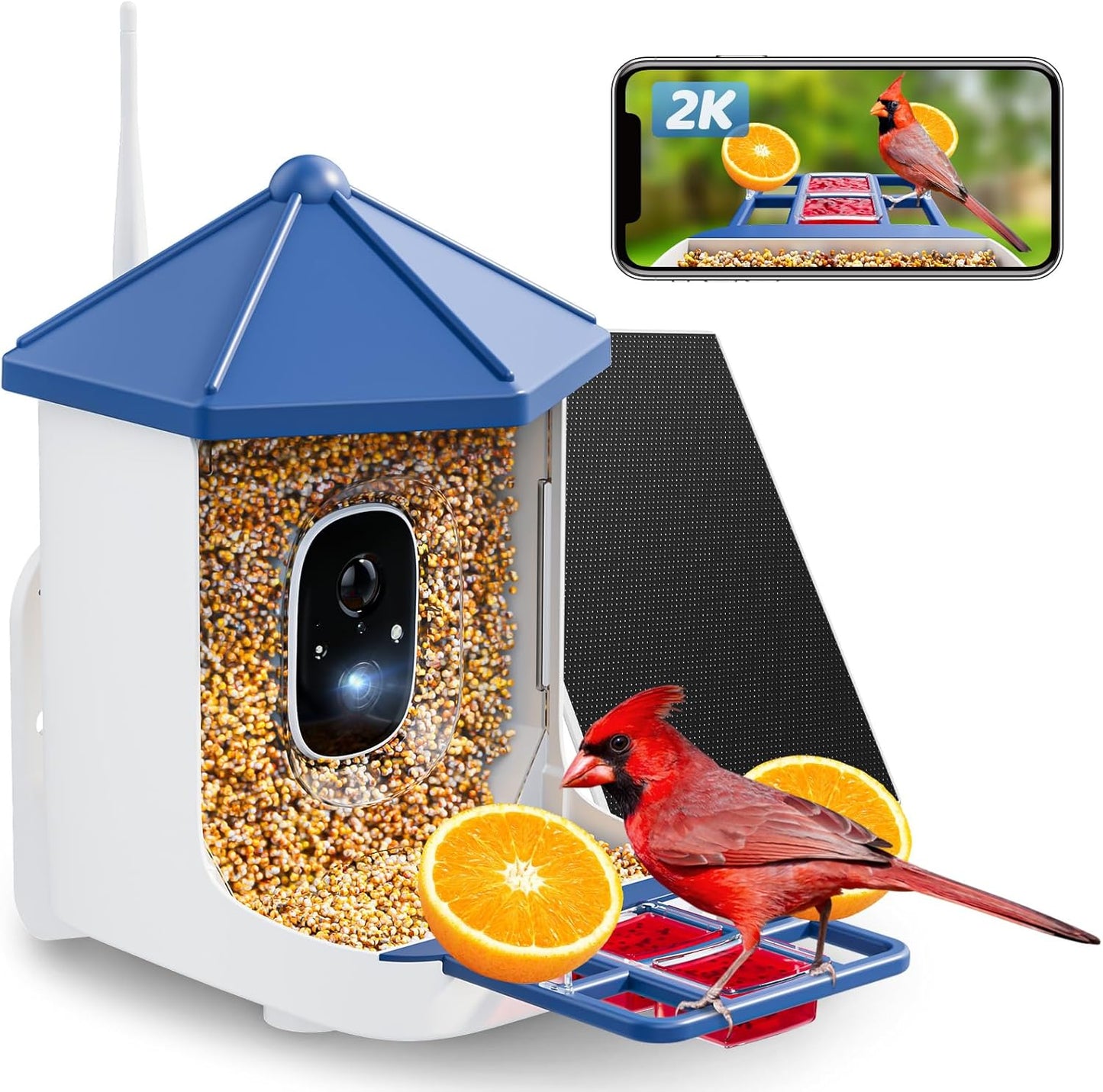 Solareye Smart Bird Feeder: 2K HD Camera, AI Bird ID