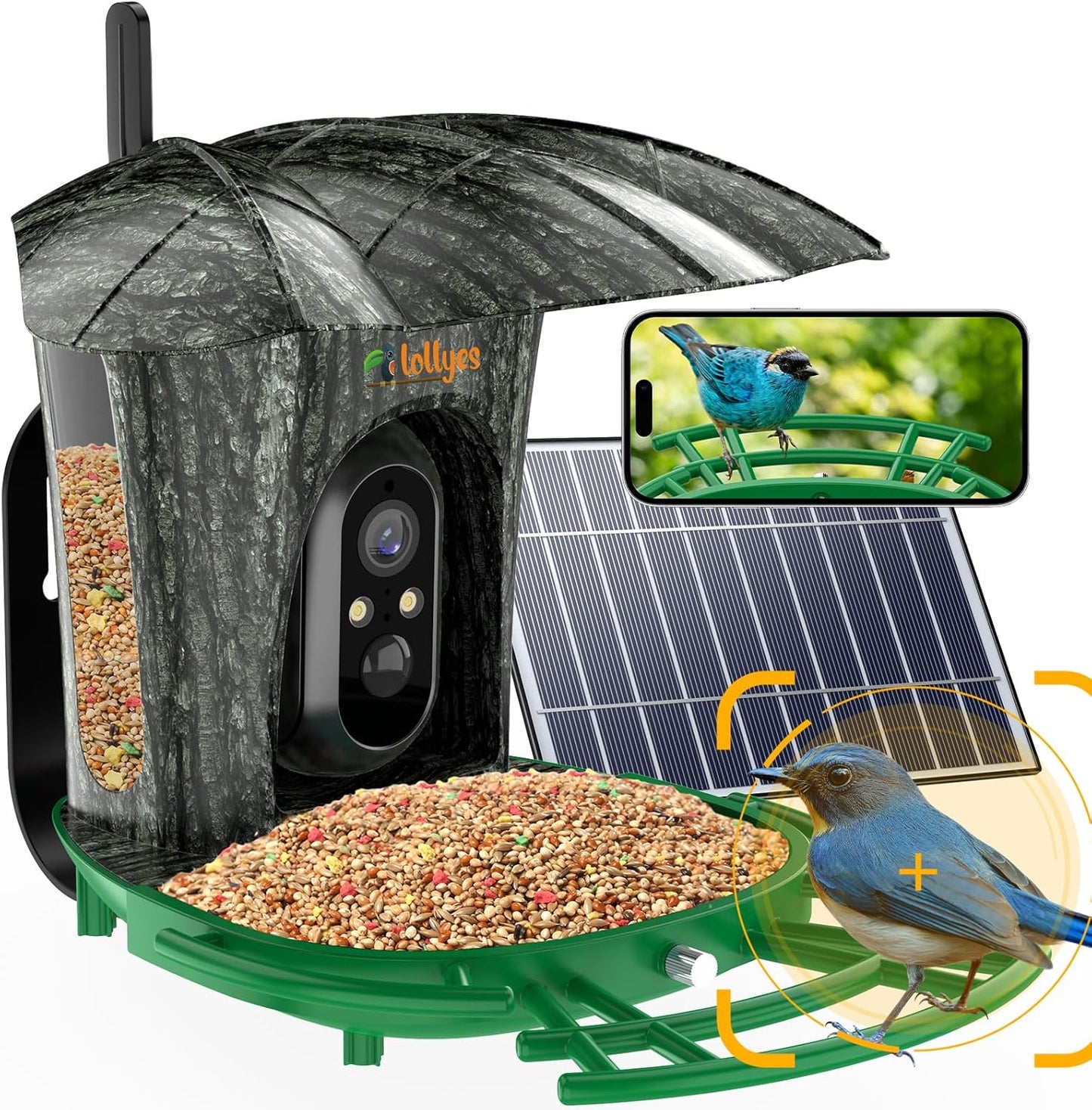 Smart Bird Feeder with Camera: AI Bird Identification