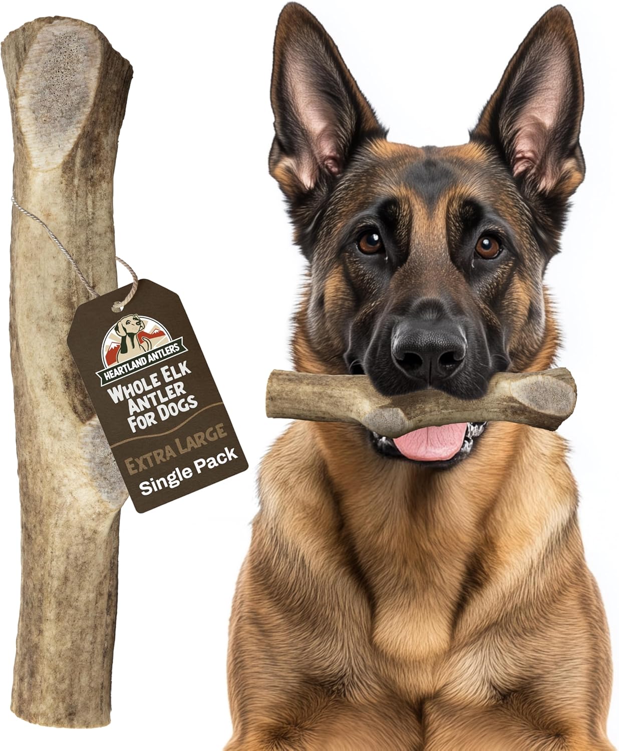 USA Made Elk Antlers: Tough Chew Toy for Dogs