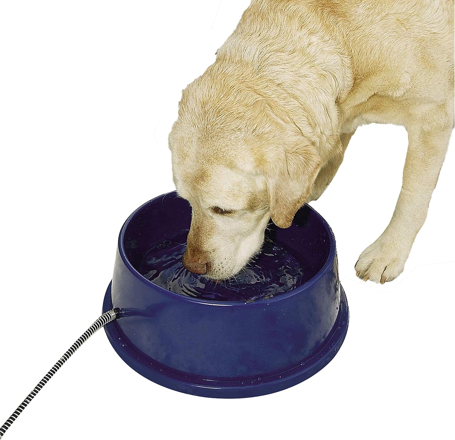 Outdoor Heated Pet Water Bowl - No Freeze Guarantee