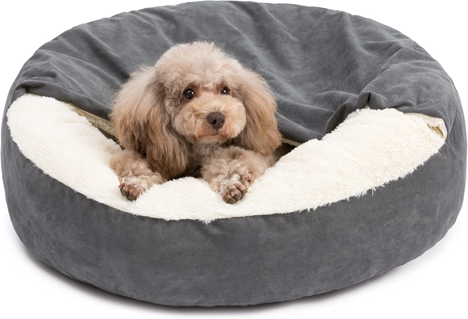 30 Medium Dog Bed for Cozy Comfort and Better Sleep