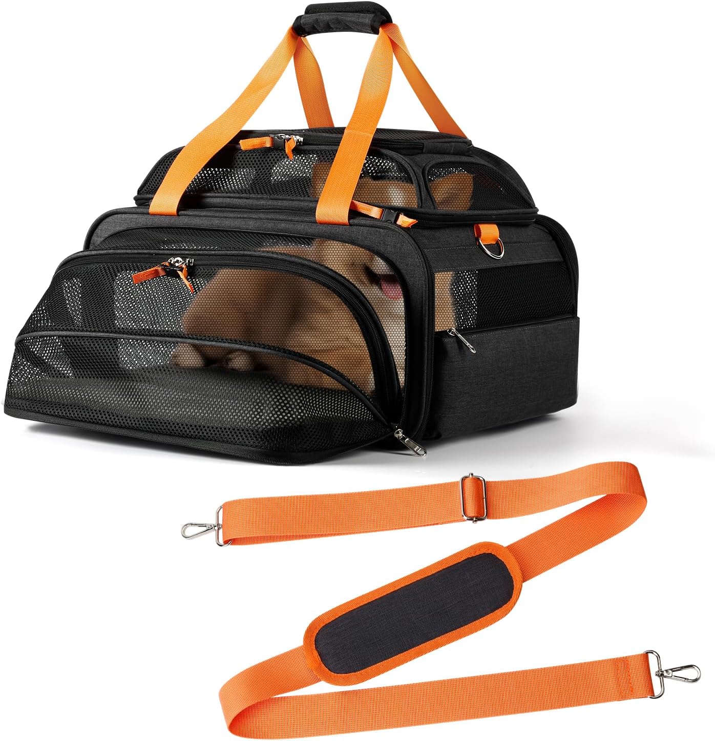 TSA Approved Expandable Pet Carrier for Small Dogs and Cats