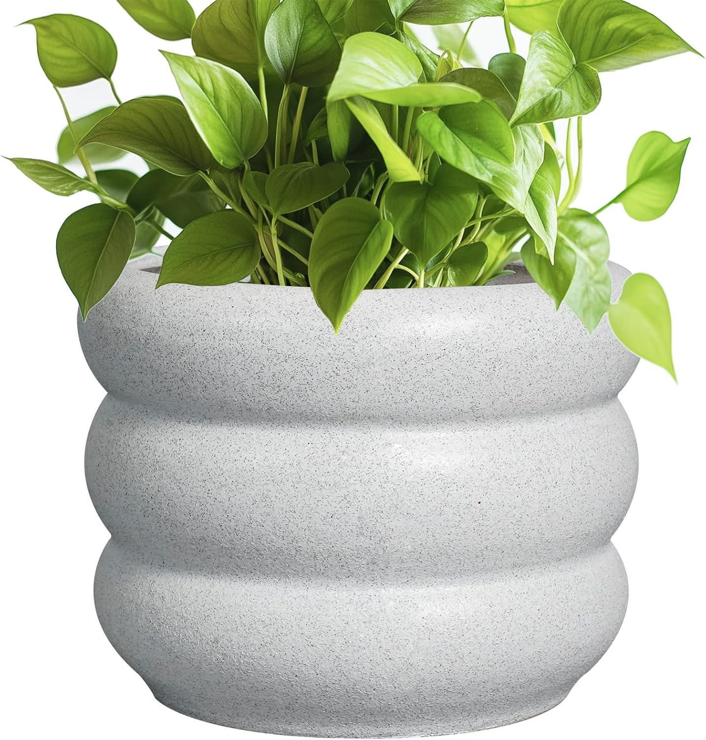 SQOWL Ceramic Planter - 8 Inch Indoor Plant Pot with Drainage