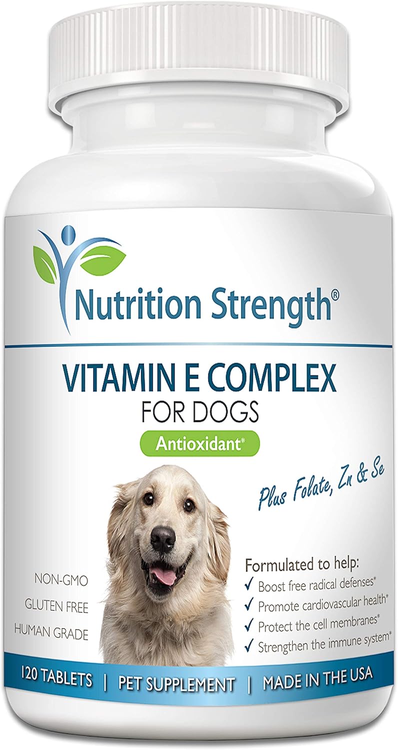 Vitamin E for Dogs to Boost Immune System and Heart Health