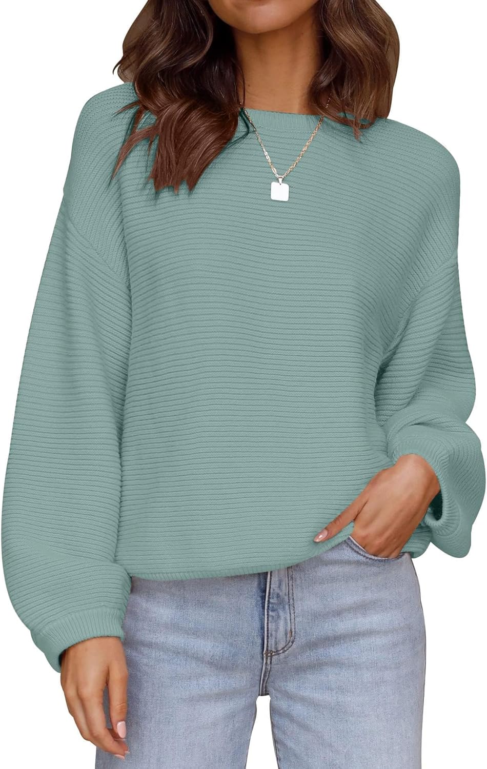 ZESICA Women's Crew Neck Long Lantern Sleeve Pullover Sweater