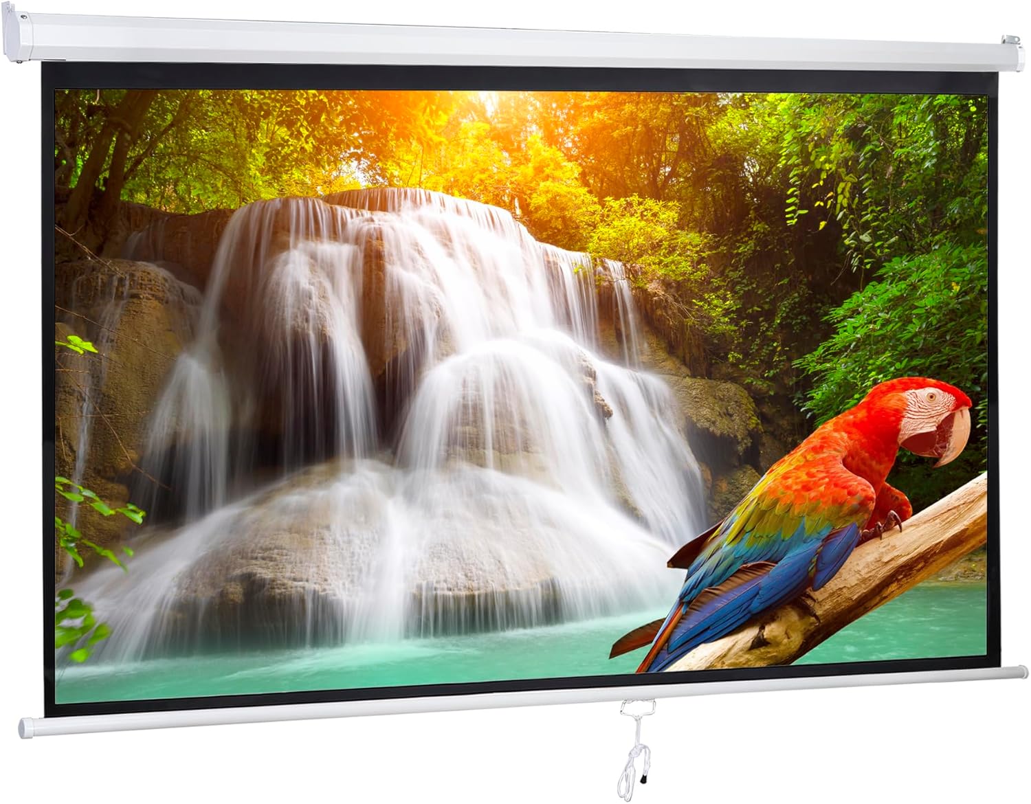 Saicool 100 HD Manual Pull Down Projector Screen