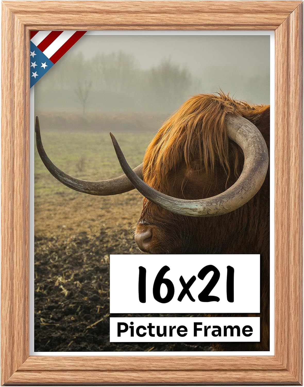Oak 16x21 Picture Frame with UV-Blocking Plexiglass Finish