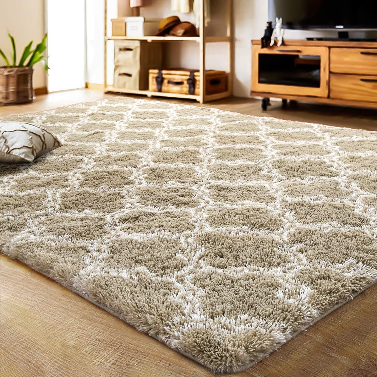 LOCHAS Luxury Shag Area Rug 6x9 Feet Soft Plush Carpet Decor