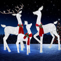 61in Christmas Deer Decoration Set with White Lights - 3D Reindeer