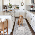 3x8 Washable Runner Rug - Non Slip Stain Resistant for Home