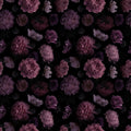 Dark Floral Peony Peel and Stick Wallpaper - Removable Bold Flower