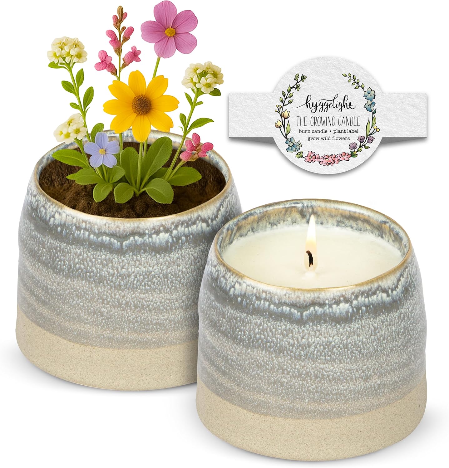 Lavender Scented Growing Candle in 10oz Ceramic Pot for Home