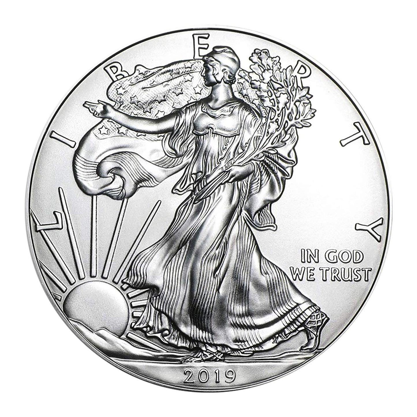 USA 2019 $1 American Silver Eagle Coin - Brilliant Uncirculated