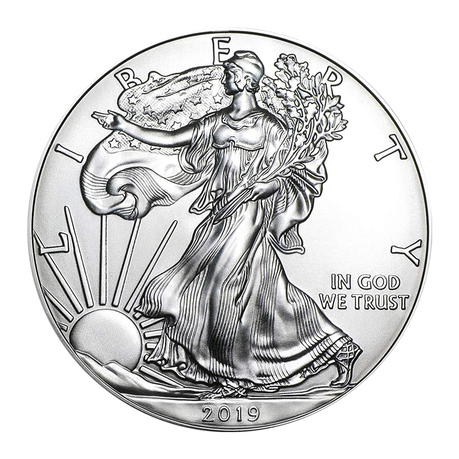 USA 2019 $1 American Silver Eagle Coin - Brilliant Uncirculated