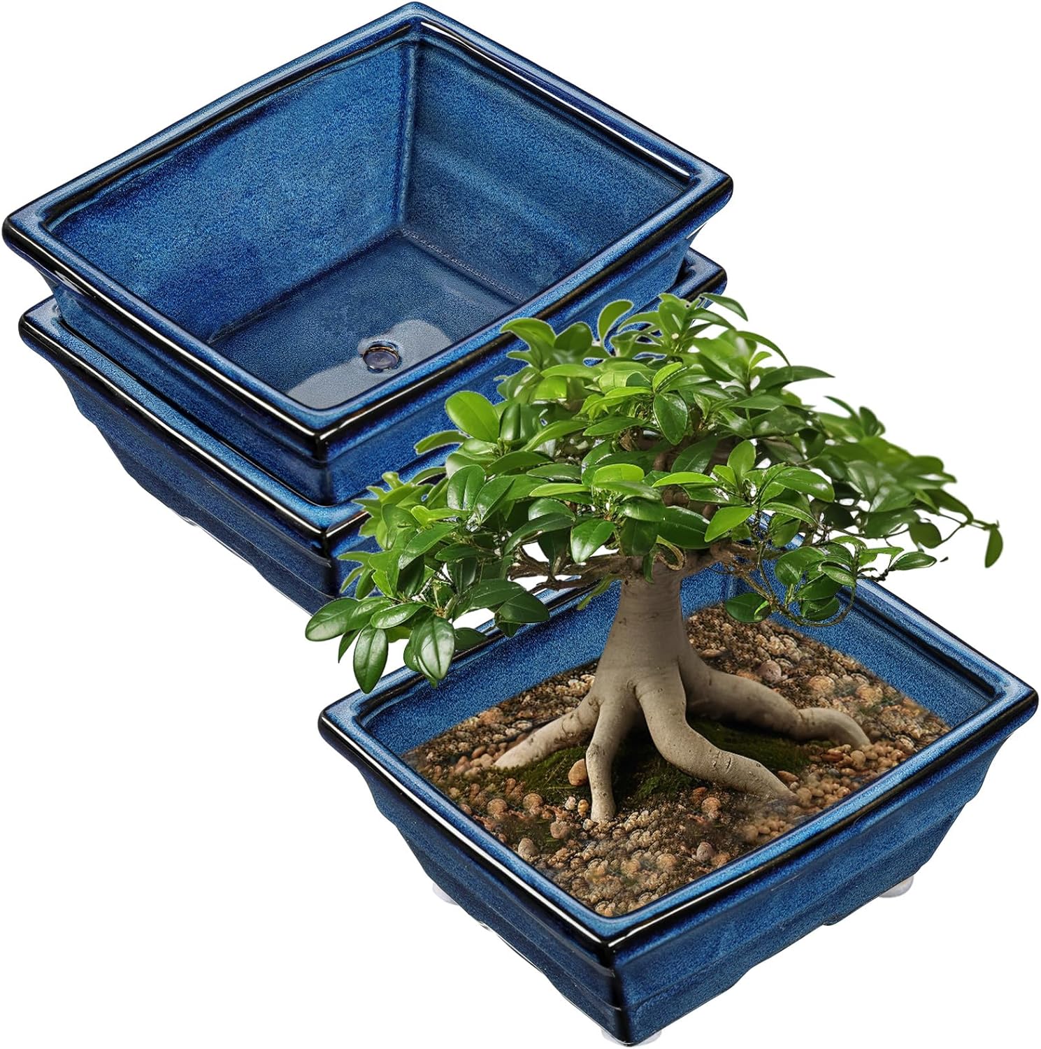 Set of 2 Large Blue Glazed Ceramic Bonsai Pots for Plants