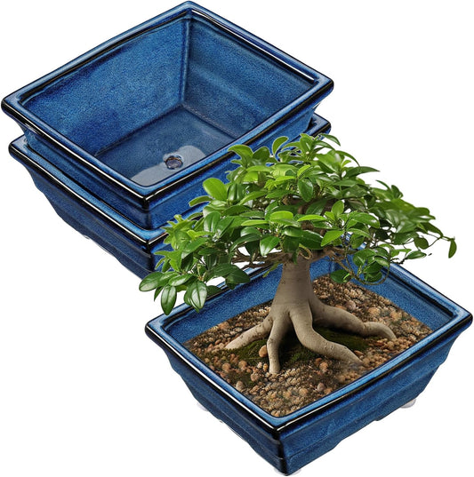 Set of 2 Large Blue Glazed Ceramic Bonsai Pots for Plants