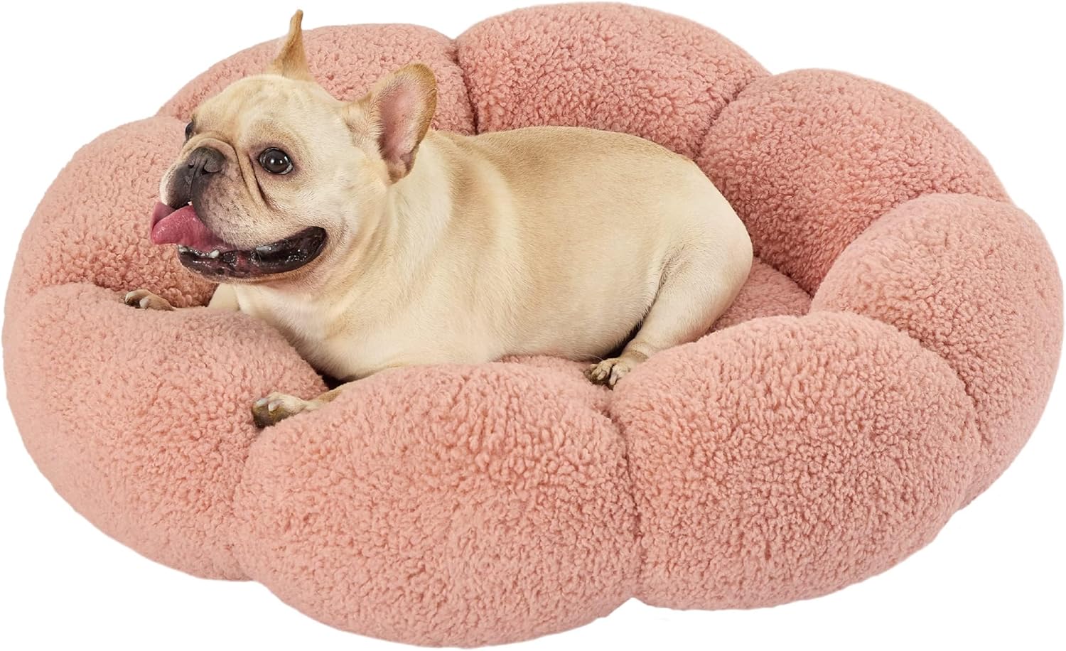 Lesure Calming Medium Dog Bed - Plush Flower Design for Pets