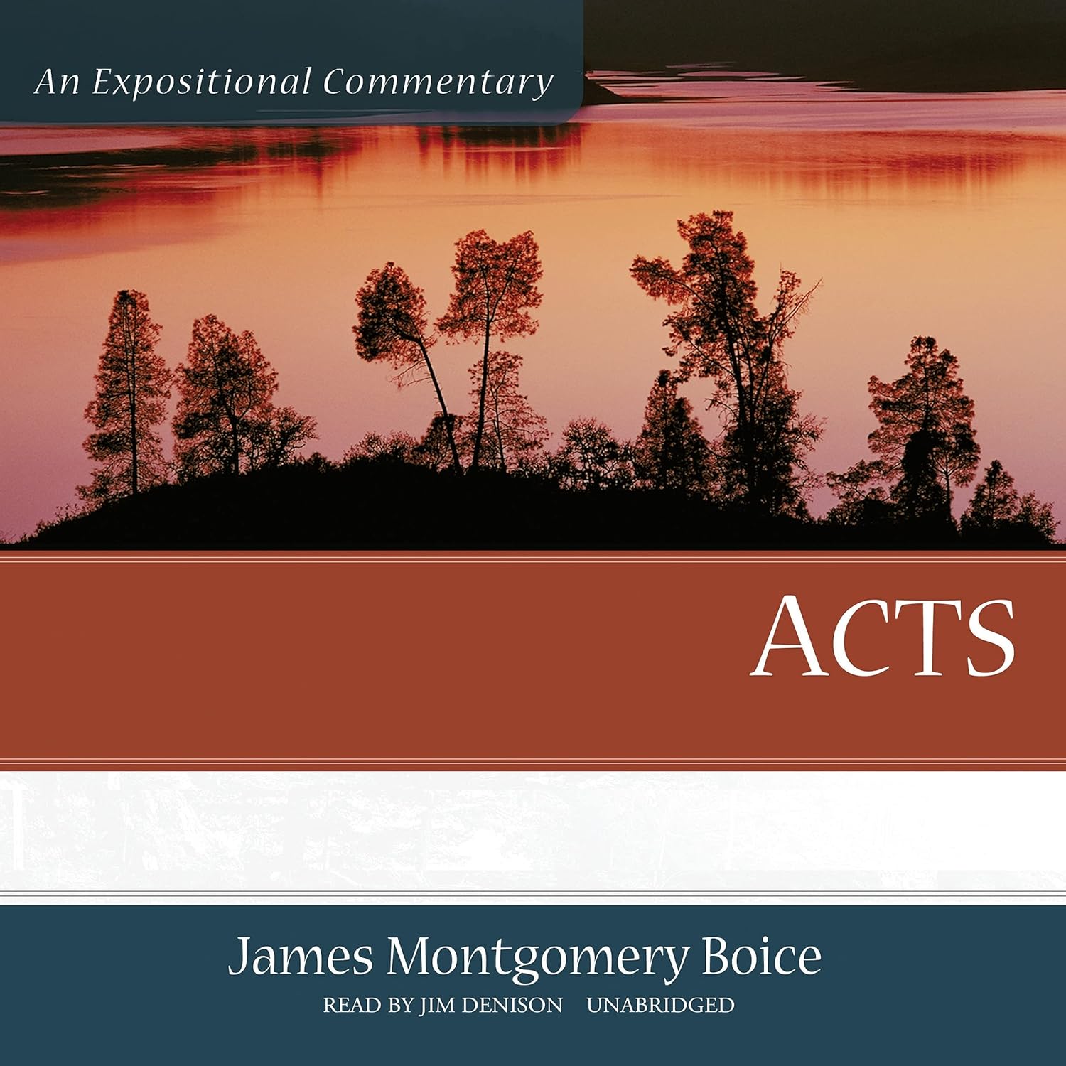 Acts: An Expositional Commentary by James Montgomery Boice Review