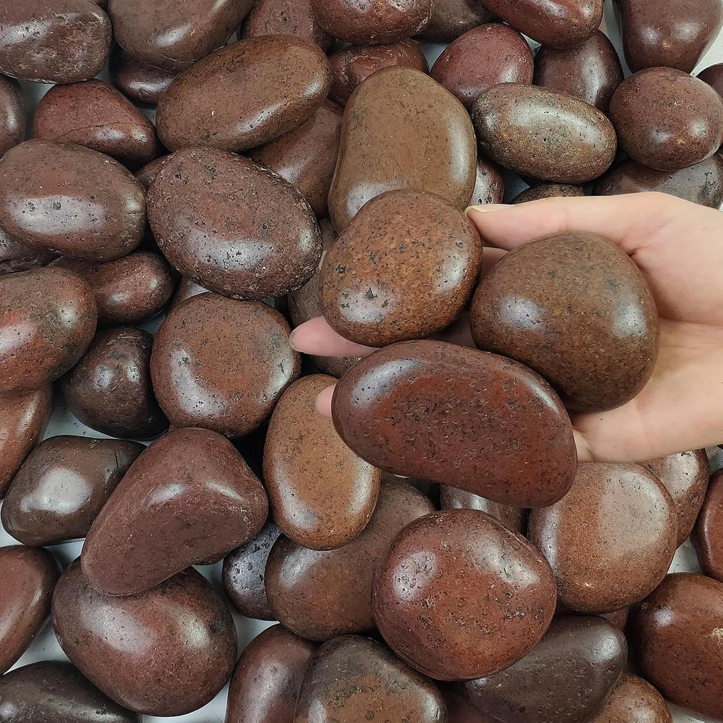 40 lbs Red River Rocks for Landscaping and Indoor Plants