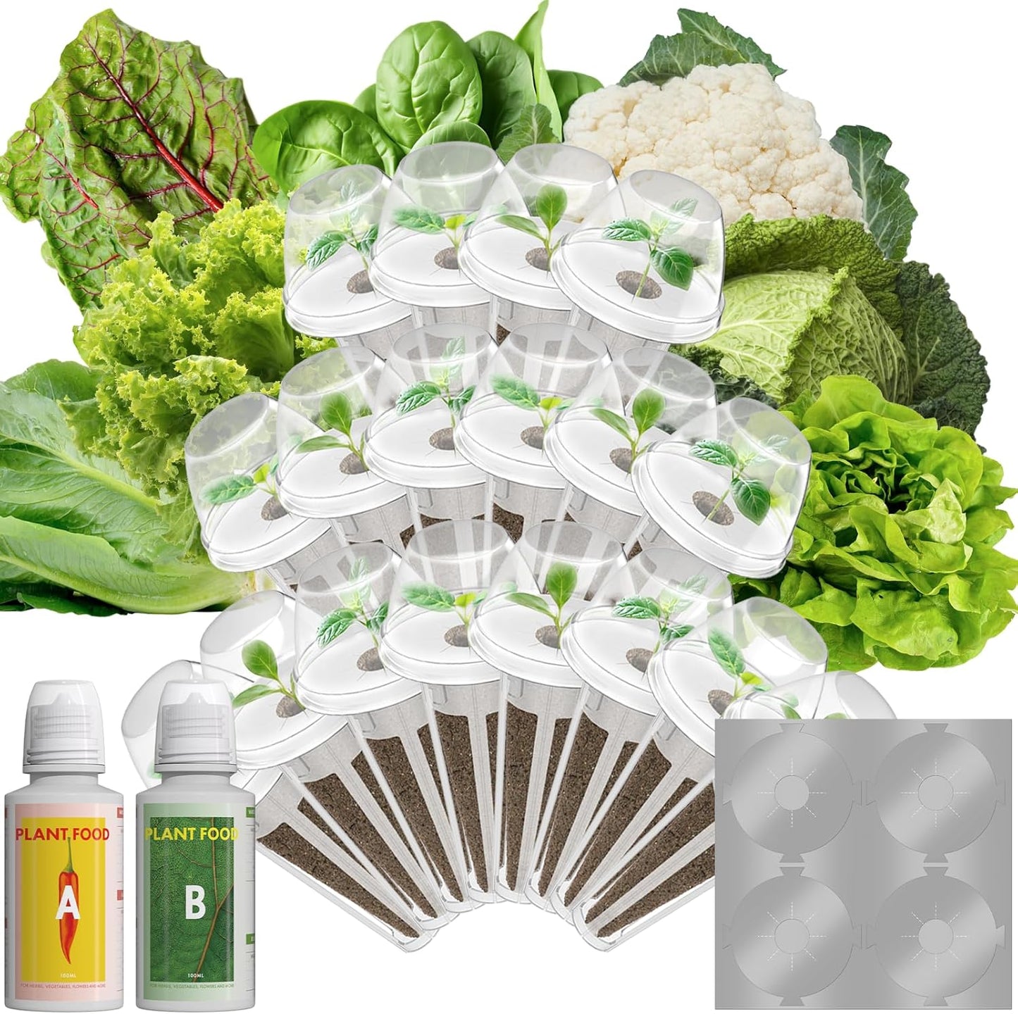 Mix Salad Seed Pods for Hydroponics Indoor Herb Garden Kit