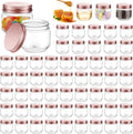3 oz Clear Plastic Mason Jars 60 Pack - Mini Storage for Favors