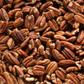 Native Pecan Halves Family Recipe Bulk 19.9 Lb - Crispy Soaked & Sea